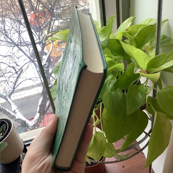 🎉HP🎉Peter Pan Book Novel (English) - Picture 6 of 10